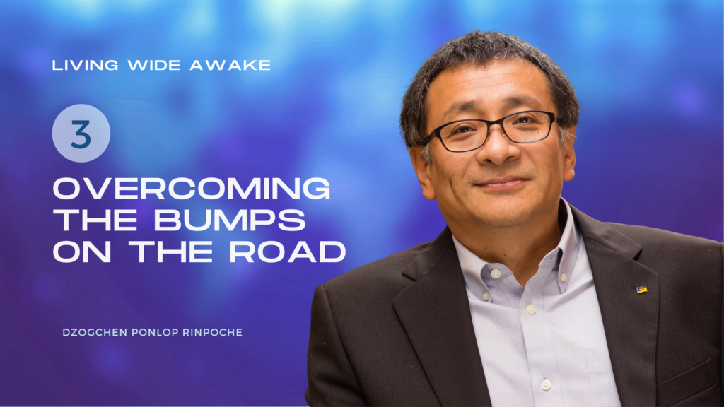 Overcoming Bumps in the Road