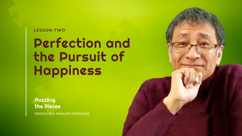 Perfection and Pursuit of Happiness