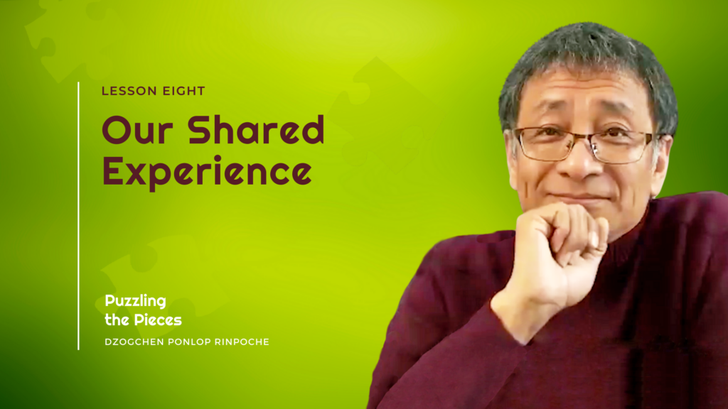 Our Shared Experiences