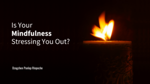 Is Your Mindfulness Stressing You Out